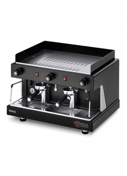 2 group commercial coffee machine shop